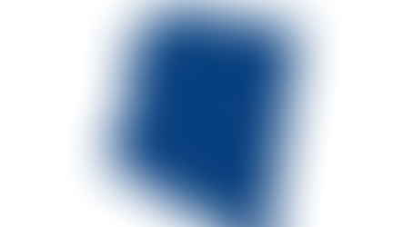 2024 Arizona U.S. Senate Democratic Primary Election Results