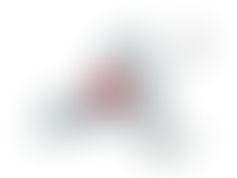 2022 New York 22nd Congressional District Election Results