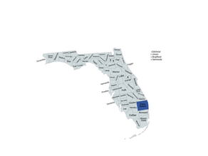 2022 Florida 22nd Congressional District Election Results