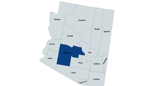 2024 Arizona 4th Congressional District Democratic Primary Election Results