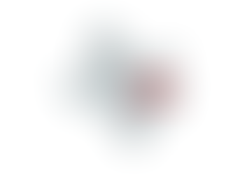 2022 Texas 17th Congressional District Election Results