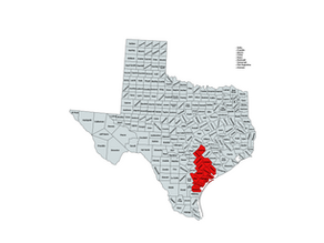 2024 Texas 27th Congressional District Election Results