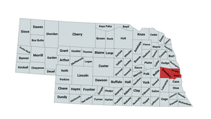 2024 Nebraska 2nd Congressional District Republican Party Primary