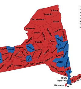 2024 AL Presidential Election.png