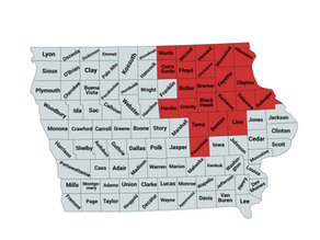 2024 2nd Iowa Congressional District Republican Primary Election Results