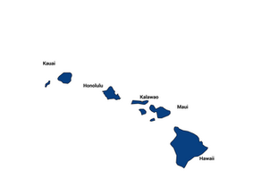 2024 Hawaii 2nd Congressional District General Election Results
