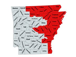 2022 Arkansas 1st Congressional District General Election Results