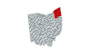 2022 Ohio 14th Congressional District Election Results 