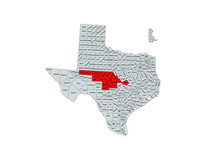 2022 Texas 11th Congressional District Election Results