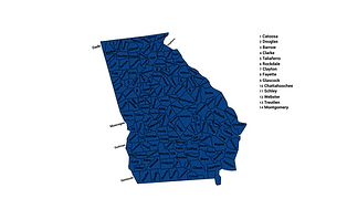 2024 GA DEM Presidential Primary.png