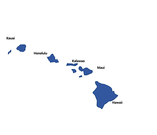 2022 HI Governor Election.png