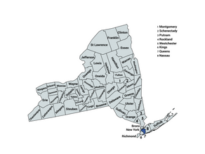 2022 New York 5th Congressional District Election Results