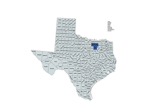 2024 Texas 32nd Congressional District Election Results