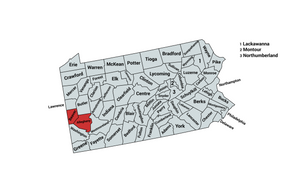 2024 Pennsylvania 17th Congressional District Republican Primary Election Results