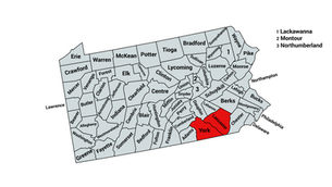 2022 Pennsylvania 11th Congressional District Election Results