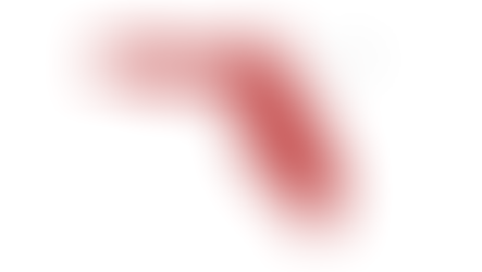 2024 Florida U.S. Senate Republican Primary Election