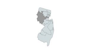 2024 New Jersey District 7th Congressional District Primary Election Results