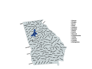 2022 Georgia 5th Congressional District General Election Results