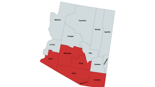 2024 Arizona 7th Congressional District Republican Primary Election Results