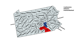 2022 Pennsylvania 10th Congressional District Election Results
