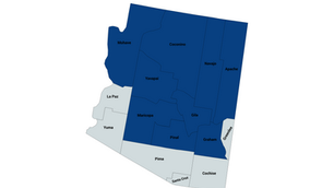 2024 Arizona 2nd Congressional District Democratic Primary Election Results