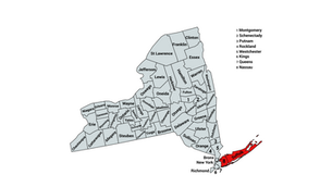 2022 New York 2nd Congressional District Election Results