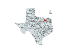 2022 Texas 3rd Congressional District Election Results