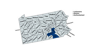 2024 Pennsylvania 10th Congressional District Democratic Primary Election Results