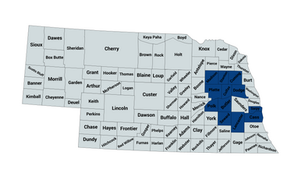2024 Nebraska 1st Congressional District Democratic Party Primary