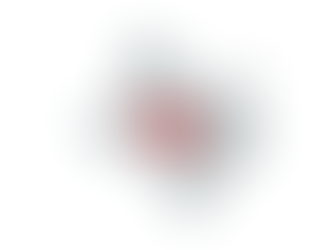 2024 Texas 11th Congressional District Election Results