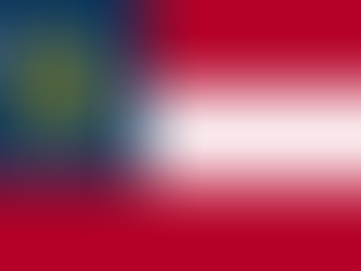 2022 Georgia U.S. House Primary Runoff Election Results
