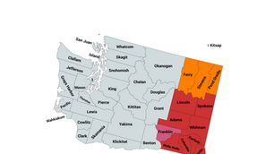 2024 Washington 5th Congressional District Primary Election Results