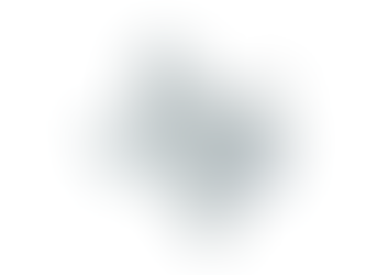 2024 Texas 29th Congressional District Election Results