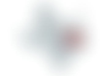 2024 Texas 17th Congressional District Election Results