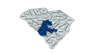 2024 South Carolina 2nd Congressional District Democratic Party Primary Election Results