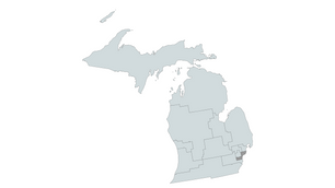 2024 Michigan 13th Congressional District Primary Elections