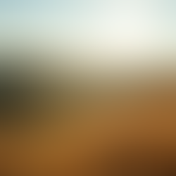 Clay Romero’s Vision for Mendocino County