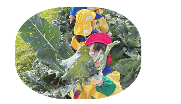 Circle,Circle|九州ねんりんスープ