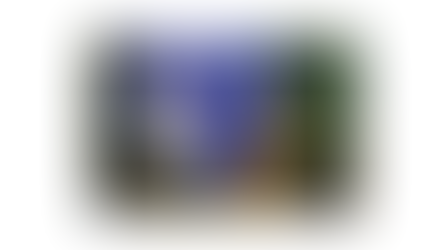 Le grand spectacle de Noël