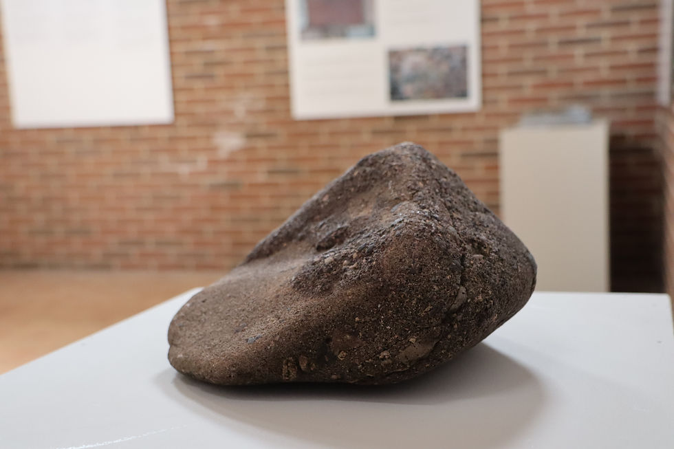 Stor brun sten på hvid piedestal i museum; murstensvæg og udstillinger i baggrunden, rolig stemning.