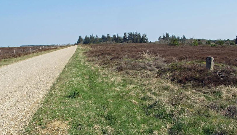 Milesten_Klosterheden_Homus.jpg