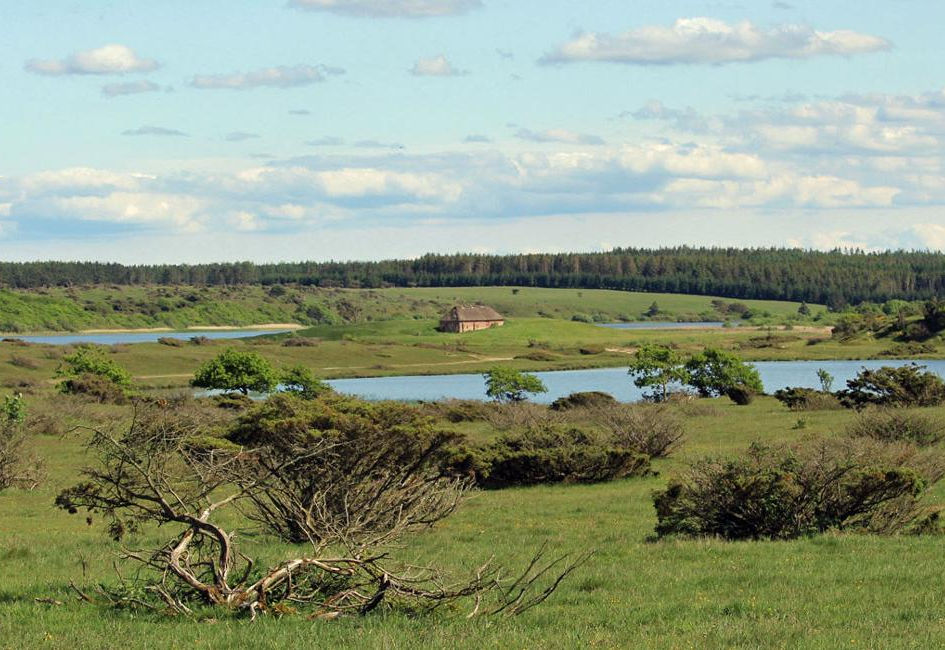 Stubbergård sø