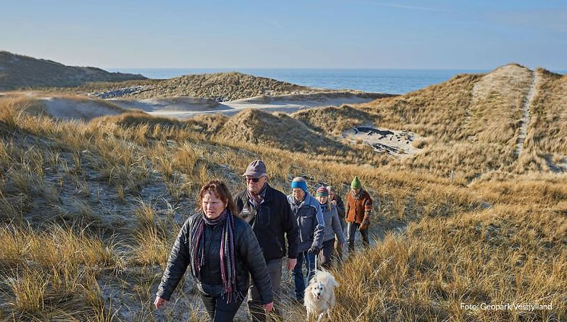 Husby_vandring_efteraar_1_0_edited.jpg