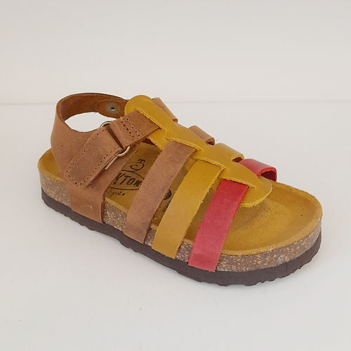 Plakton Pandi ocre rojo