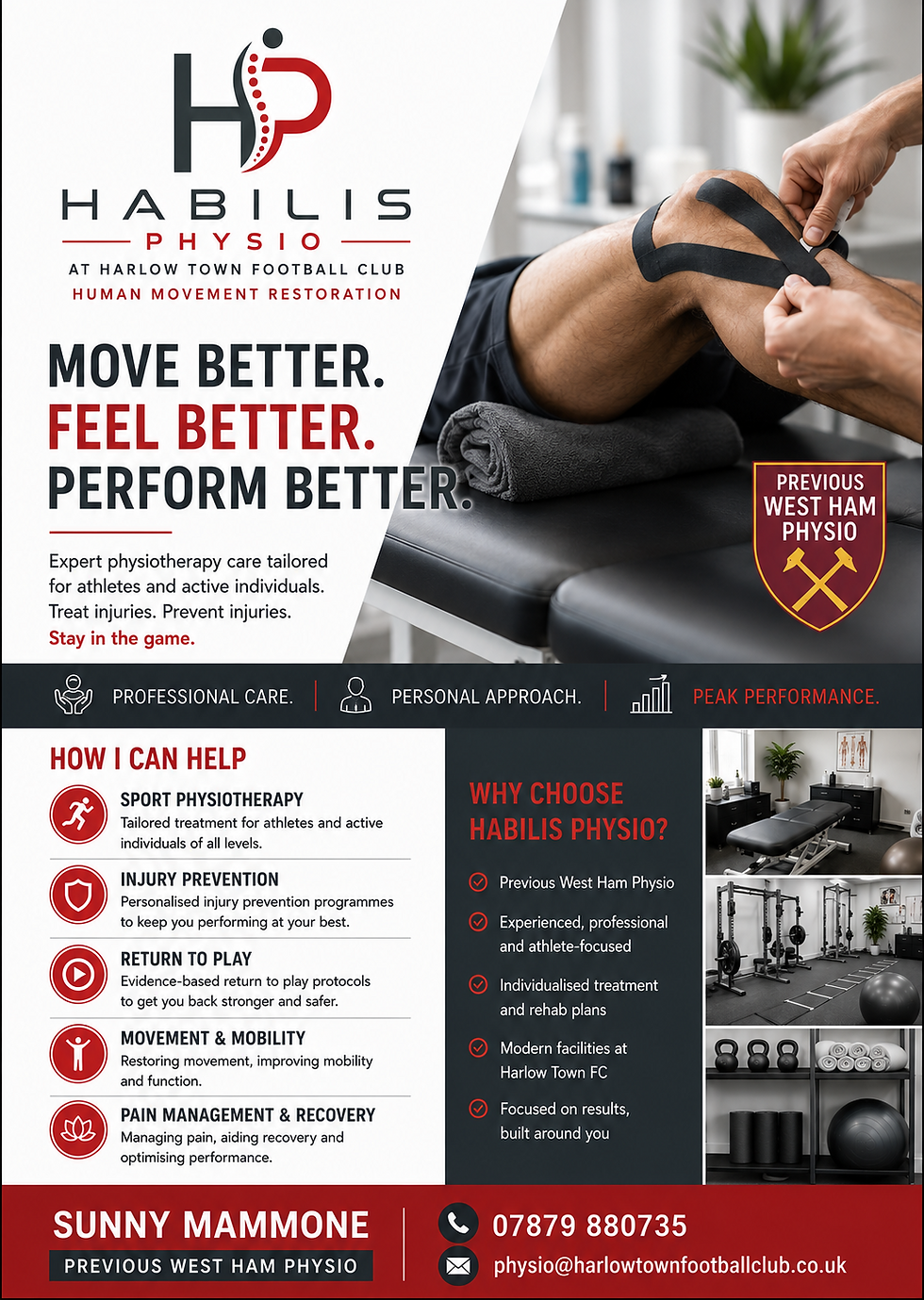 habilis-poster.png