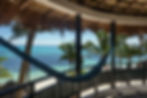 Manta Ray12.jpg