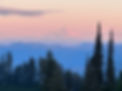717171FC-6B48-43EA-899D-AD513C3396B9.jpeg