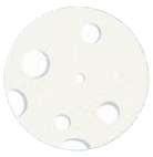 Screen Shot 2025-09-12 at 8.51_edited.pn