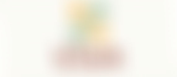 Vixen Hair Co branding showcase featuring a retro-inspired logo, 1960s tile pattern, and bold color palette designed for a curly hair-focused personal brand by Da Enzo Branding.