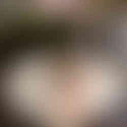 Table setting with gold and white plates.